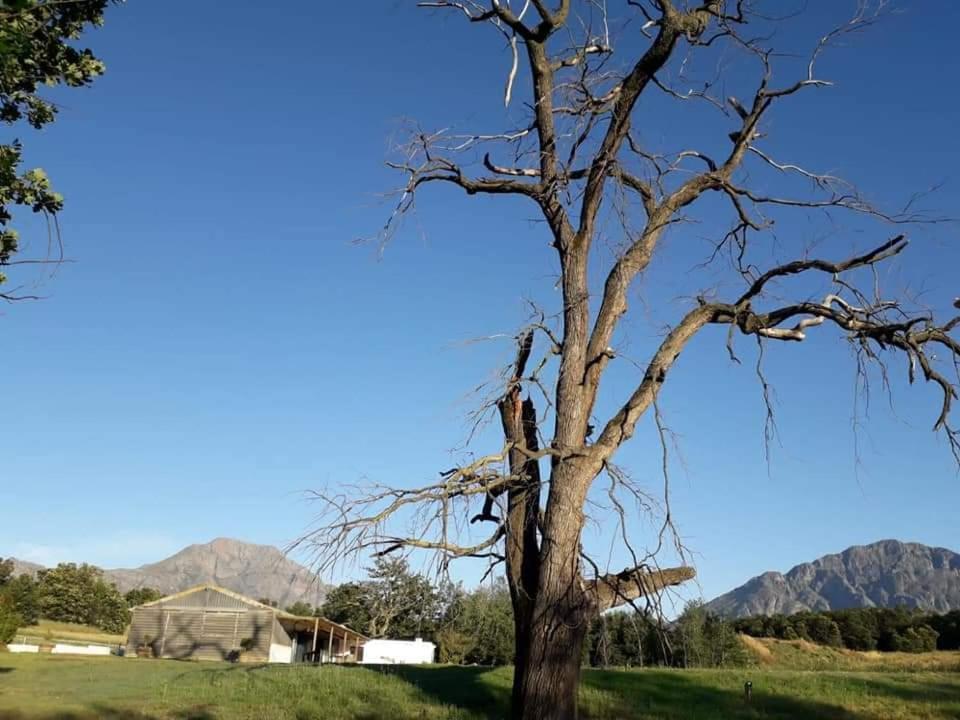 Klipfontein Rustic Farm & Camping Tulbagh Extérieur photo