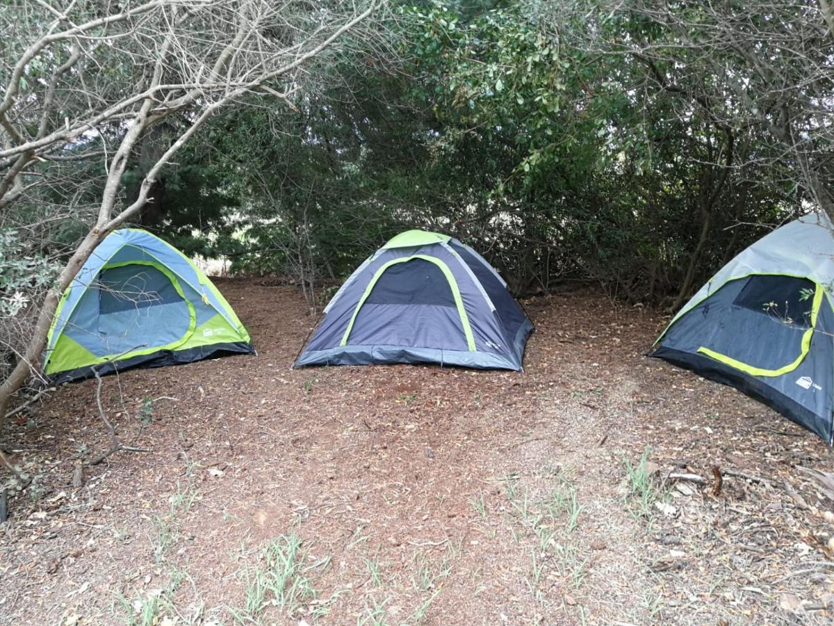Klipfontein Rustic Farm & Camping Tulbagh Extérieur photo