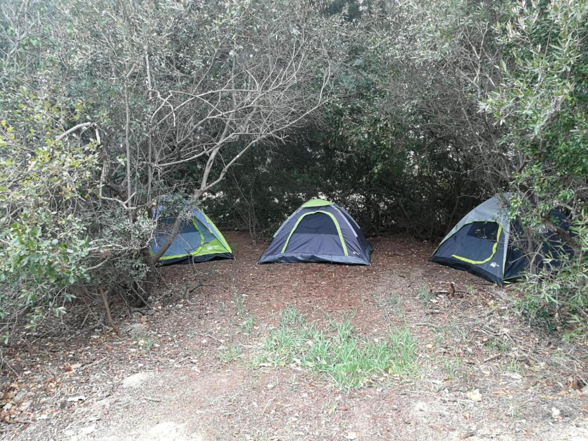 Klipfontein Rustic Farm & Camping Tulbagh Extérieur photo