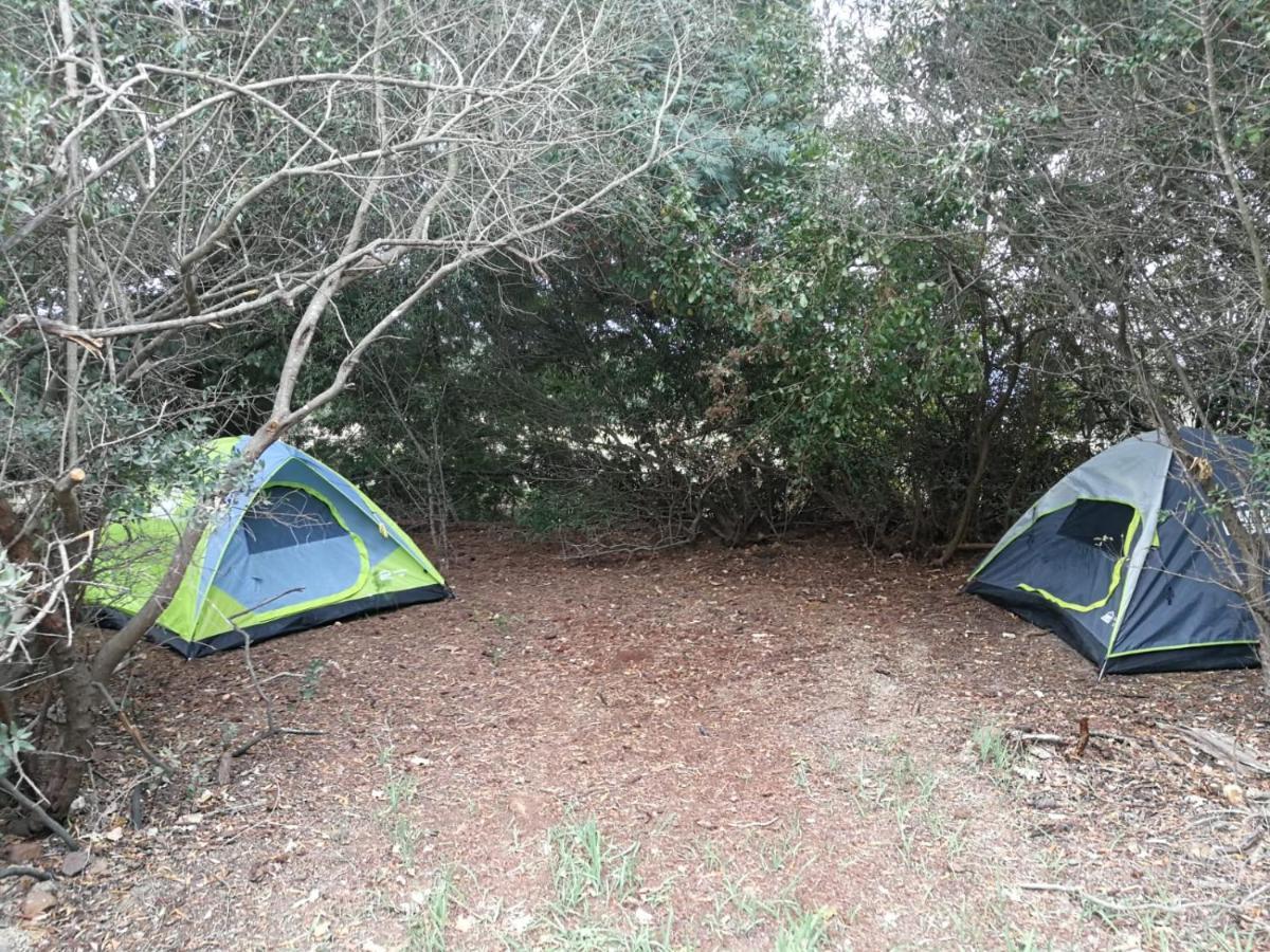 Klipfontein Rustic Farm & Camping Tulbagh Extérieur photo