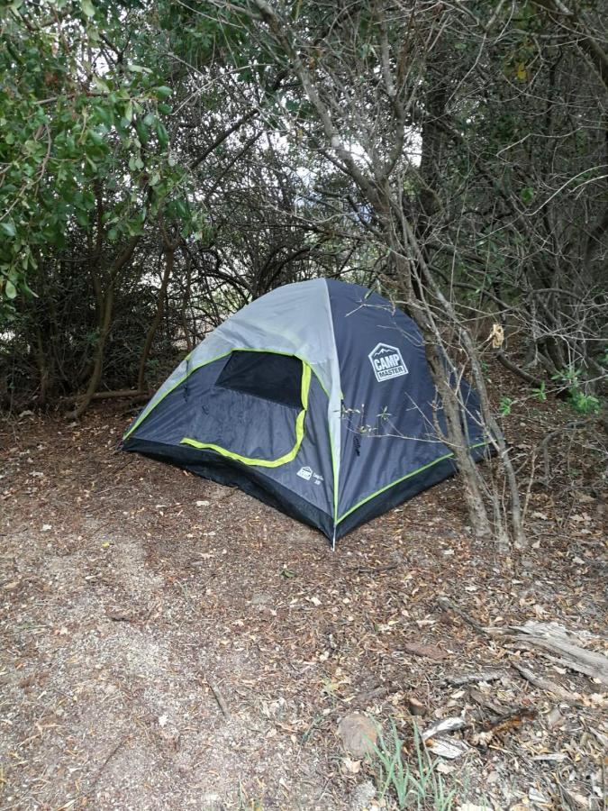 Klipfontein Rustic Farm & Camping Tulbagh Extérieur photo
