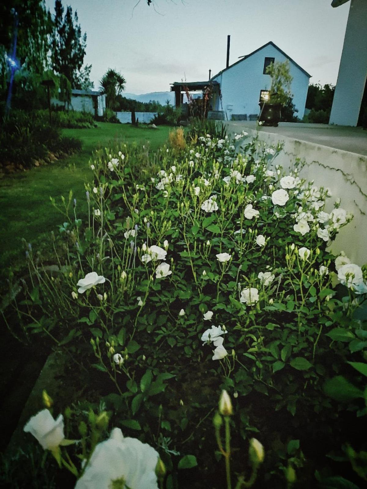 Klipfontein Rustic Farm & Camping Tulbagh Extérieur photo